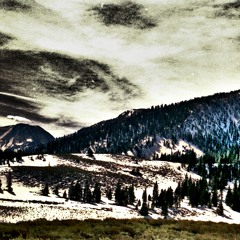 I look into the sky, and I see grey.