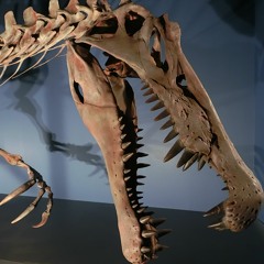 Spinosaurus