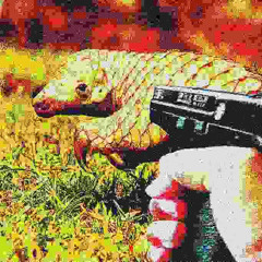 Pangolin Mangolin (Royalty Required. Not Free For Use.)