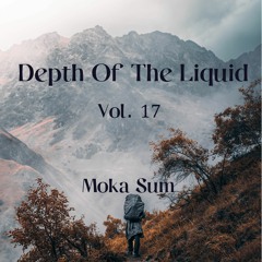 Depth Of The Liquid Vol. 17