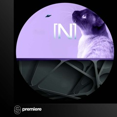 Premiere: Reber - Riddim - No Preset Records