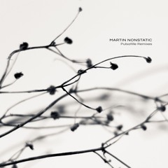 MARTIN NONSTATIC | To the Skin (Miktek remix)
