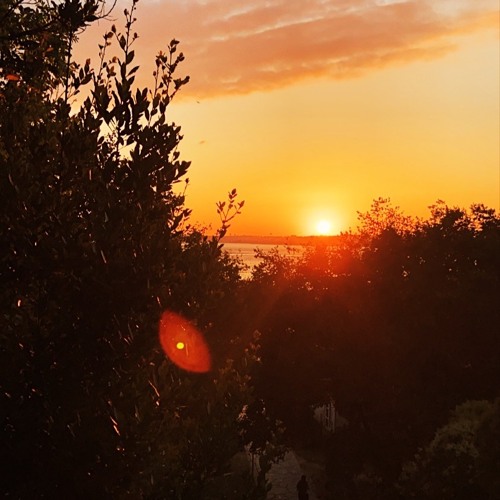 Sun Goes Down (Acoustic Demo)