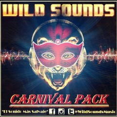 This is WILD SOUNDS MUSIC Vol.2 [CARNIVAL PACK]