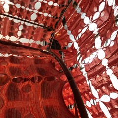 Miss Mali's refelection