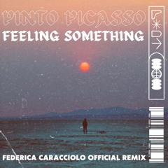 Pinto Picasso - Feeling Something (Federica Caracciolo Official Remix)