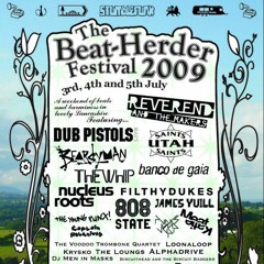 Paul Thornton - Live at The Beat-Herder Festival 2009 - Sunday night