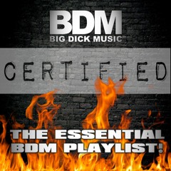 CERTIFIED - The Essential Big Dick Music Playlist