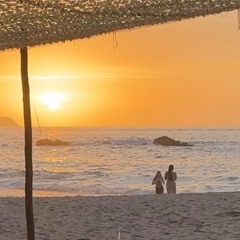 DnB Summer Variety Mix