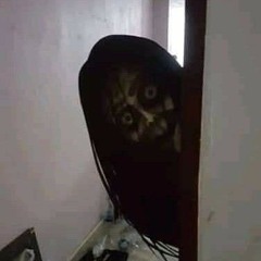 жал бы руку (prod. youngswagprod) madk1d old music :3