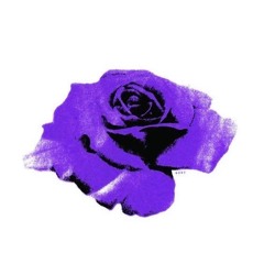 you, money, and music (prod. sickboi)