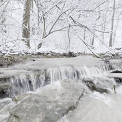 Clear Creek (Wintry Mix)