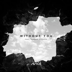 Avicii - Without You (feat. Sandro Cavazza) [NAK Remix] (Originalmix)