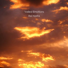 Rei Narita : Veiled Emotions