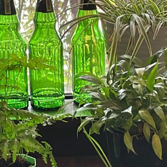 Shiki No Uta -The Brotet-