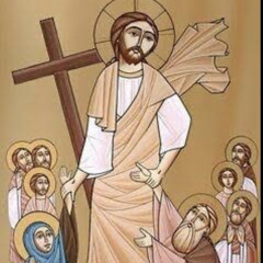 SMSM holy 50 tabshea