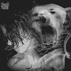 WHITE BEAR (prod. PAMIRATEARS)