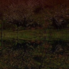 Jardín inverso