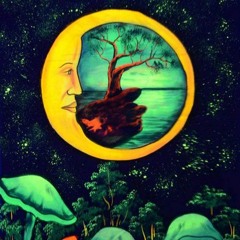 Türkçe Set - Tolga Sever - 04