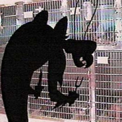 soulja boy migos gas evilredflame flip