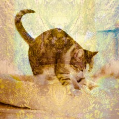 DnBizkitz
