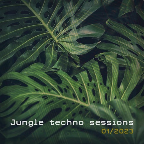 RXD - Jungle Techno Sessions 01/2023