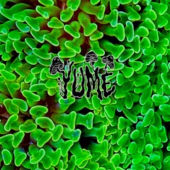 Notorious B.I.G. - Dead Wrong (yume bootleg)