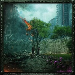 CasperTNG & 100bandplan - The Market