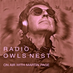 Radio OwlsNest - Episode 8- On Air With Martin Page