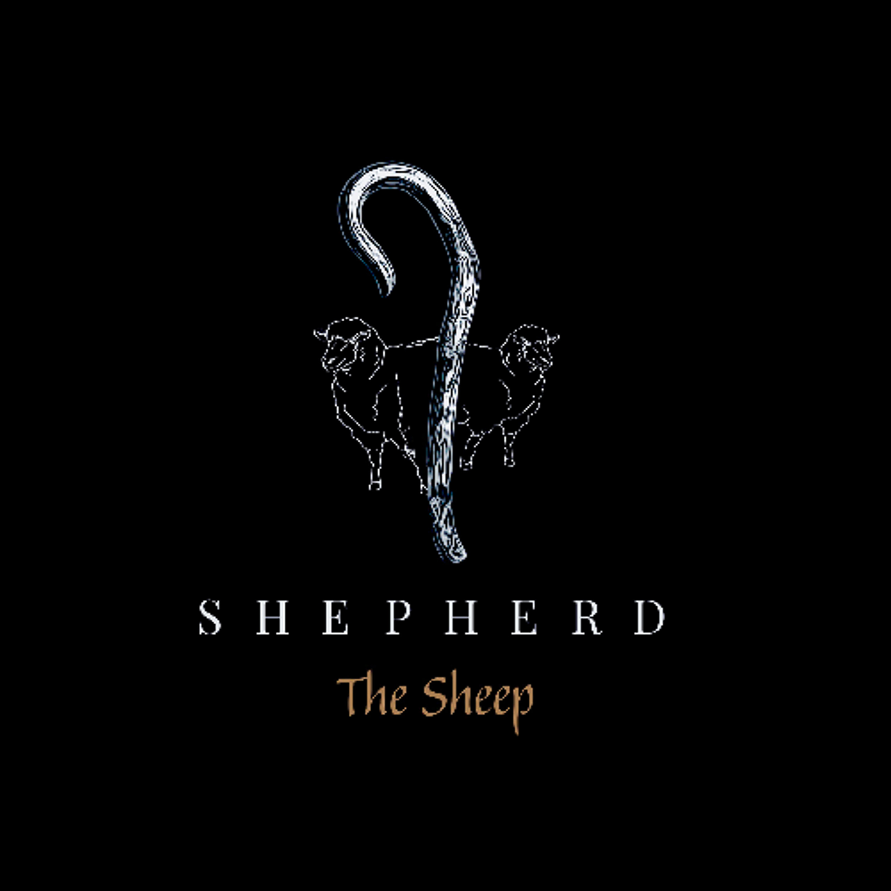 Shepherd the Sheep