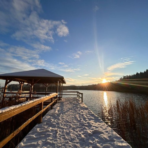 2025 - 02 - 16 February  Organic Sunday Part 2