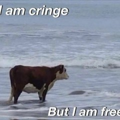 you say i have a manic episode i say i just decided to stop being mentally ill