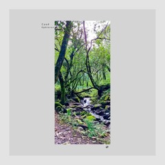 𝐏𝐑𝐄𝐌𝐈𝐄𝐑𝐄 | Cauê - Delta (Original Mix) [KVLTÖ Records]