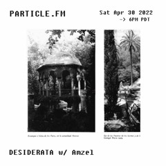 DESIDERATA w/ AMZEL 04.30.22 (Particle FM)