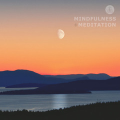 Mindfulness + Meditation