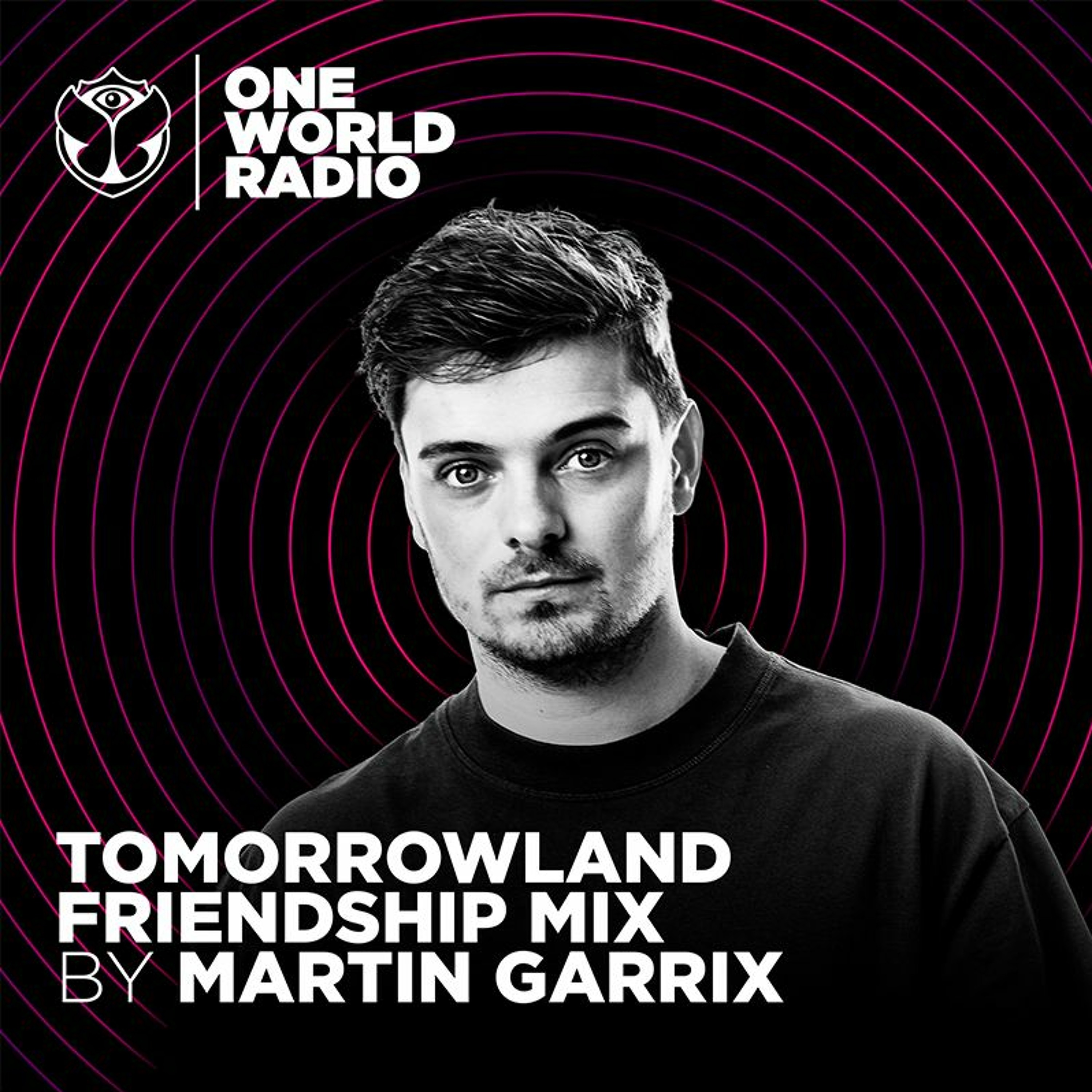 Tomorrowland Friendship Mix - Martin Garrix