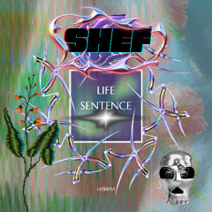 shef - life sentence (free DL)