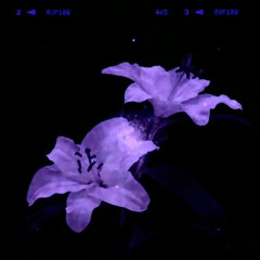 messy (prod. heartless x jorko)