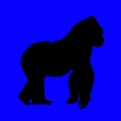 felt like we were in malibu (oropeza edit)