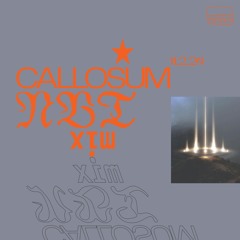 Callosum // nbt 11.2.24