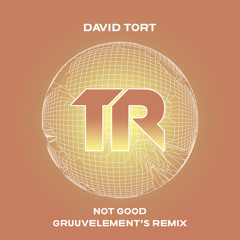 David Tort - Not Good (Instrumental Mix)