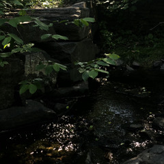 somethinboutsomethin