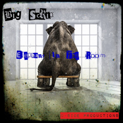 Big Scrip - Elephant In The Room.mp3