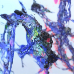 Simon Littauer - Vart