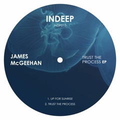 James McGeehan - Trust The Process (Original Mix)