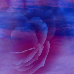 flimsy