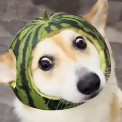 EVRYWAY!(prod. whxtesvpra)