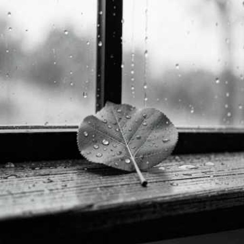 Once, I Could Find a Reason