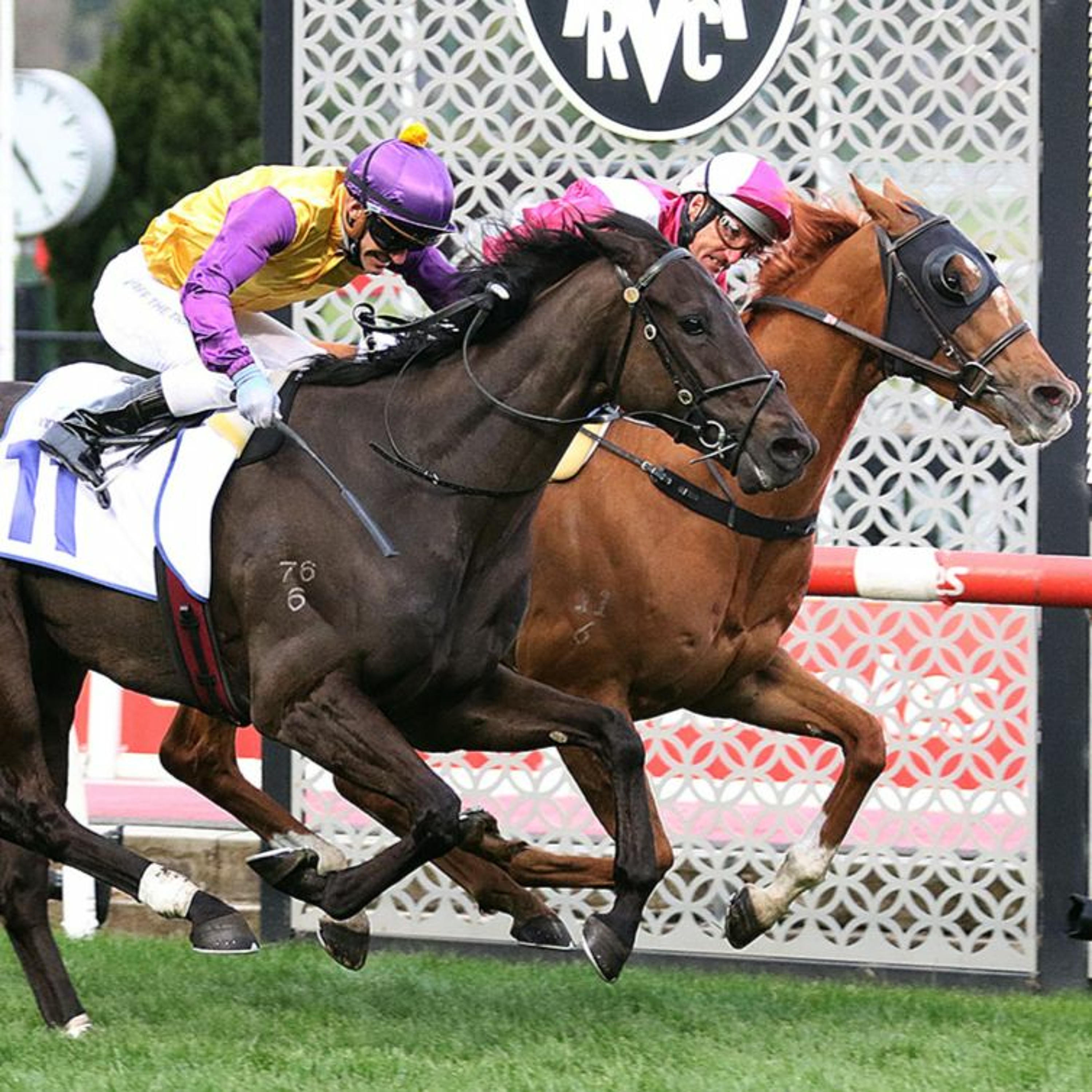 Feehan Stakes Day Review