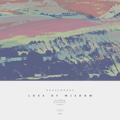 Loss of Wisdom (Original Mix)